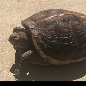 Meet your Posher, Jeremiah